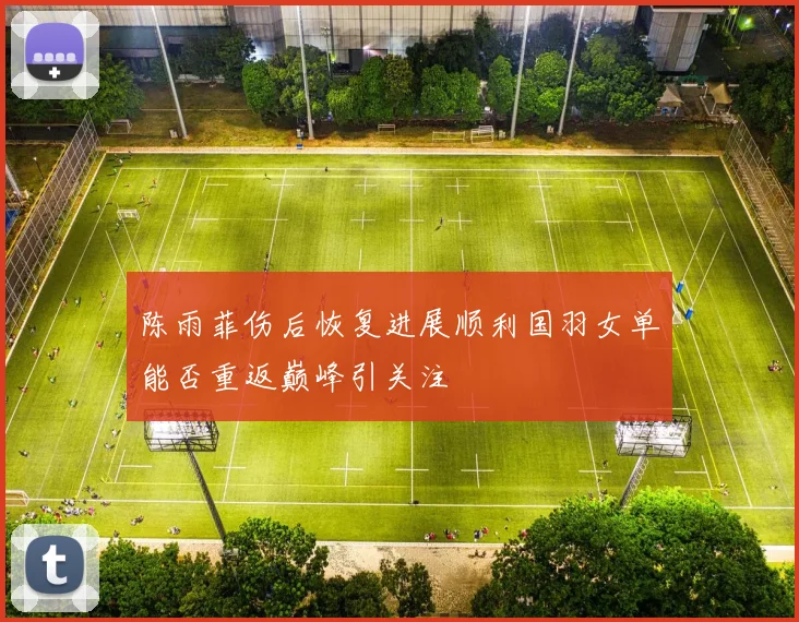 陈雨菲伤后恢复进展顺利国羽女单能否重返巅峰引关注